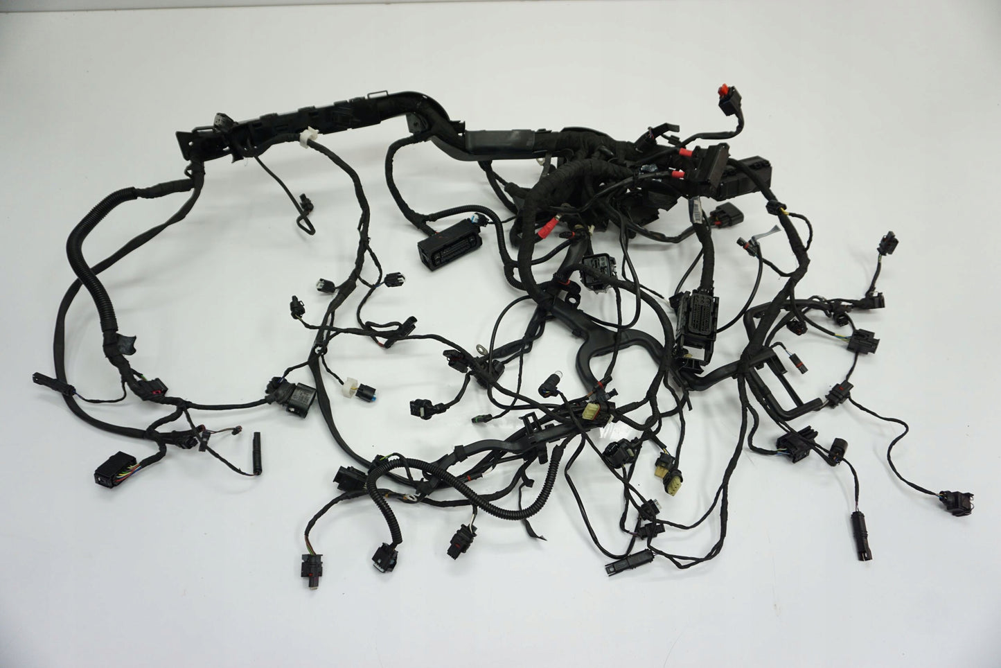 BMW R 1250 R 18- Kabelbaum Wiring Harness 11