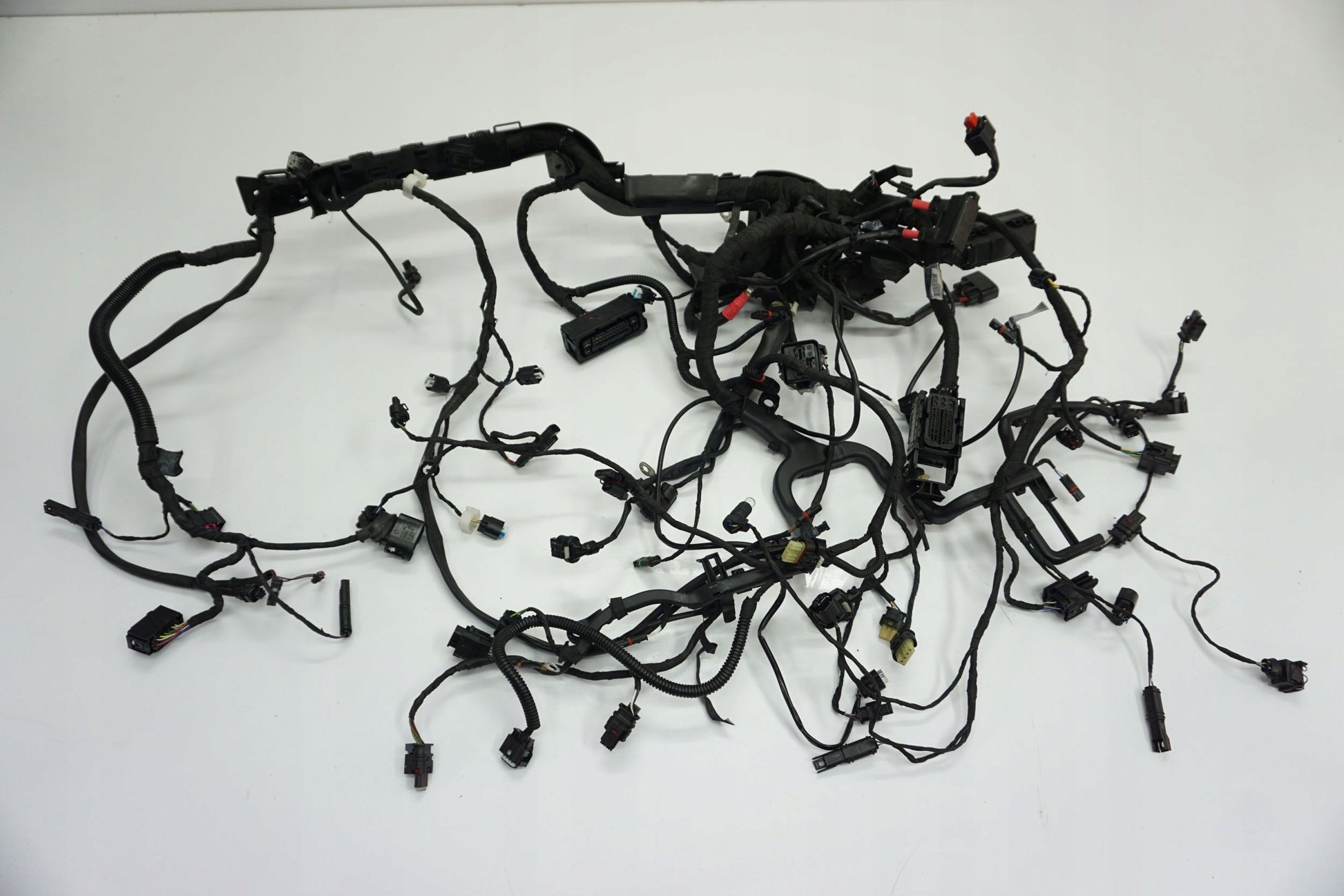BMW R 1250 R 18- Kabelbaum Wiring Harness 11