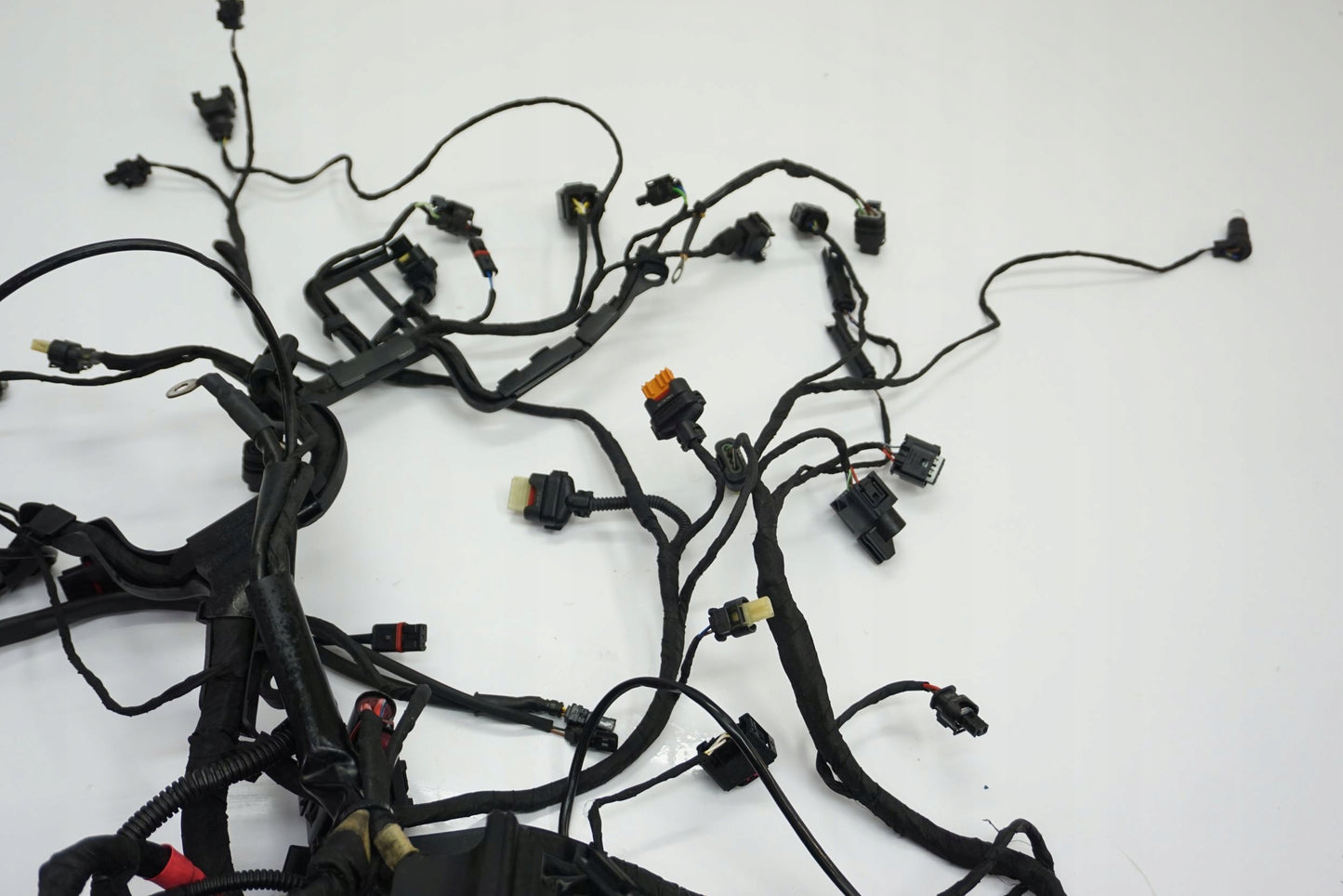 BMW R 1250 R 18- Kabelbaum Wiring Harness 5