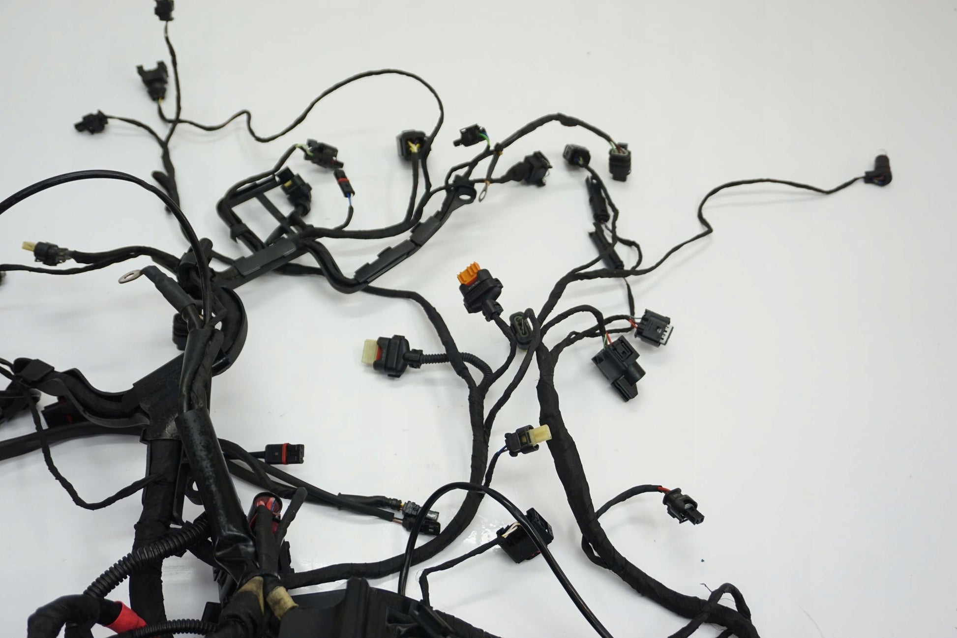 BMW R 1250 R 18- Kabelbaum Wiring Harness 5