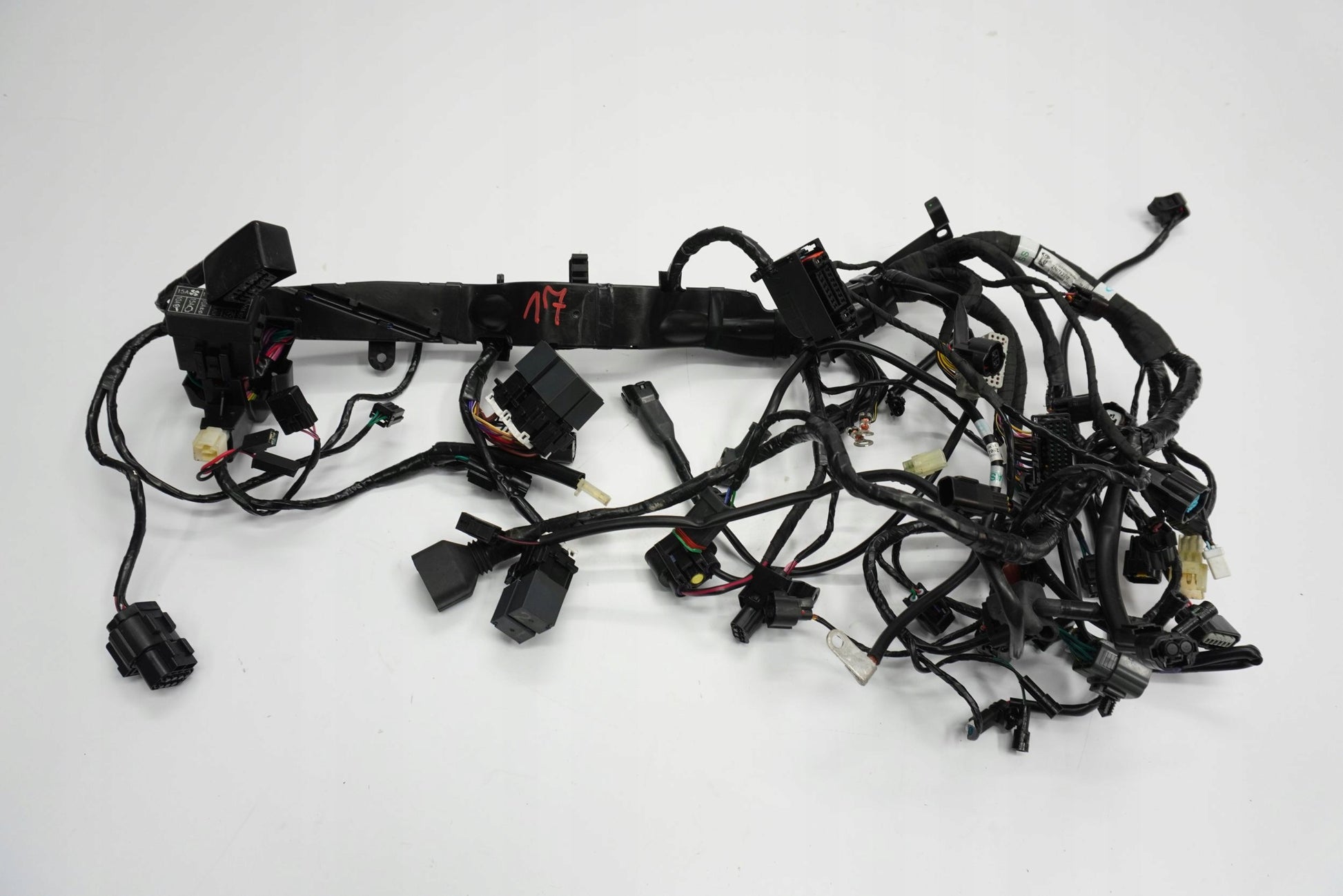 TRIUMPH STREET TRIPLE 660 S 17- Kabelbaum Wiring Harness 11