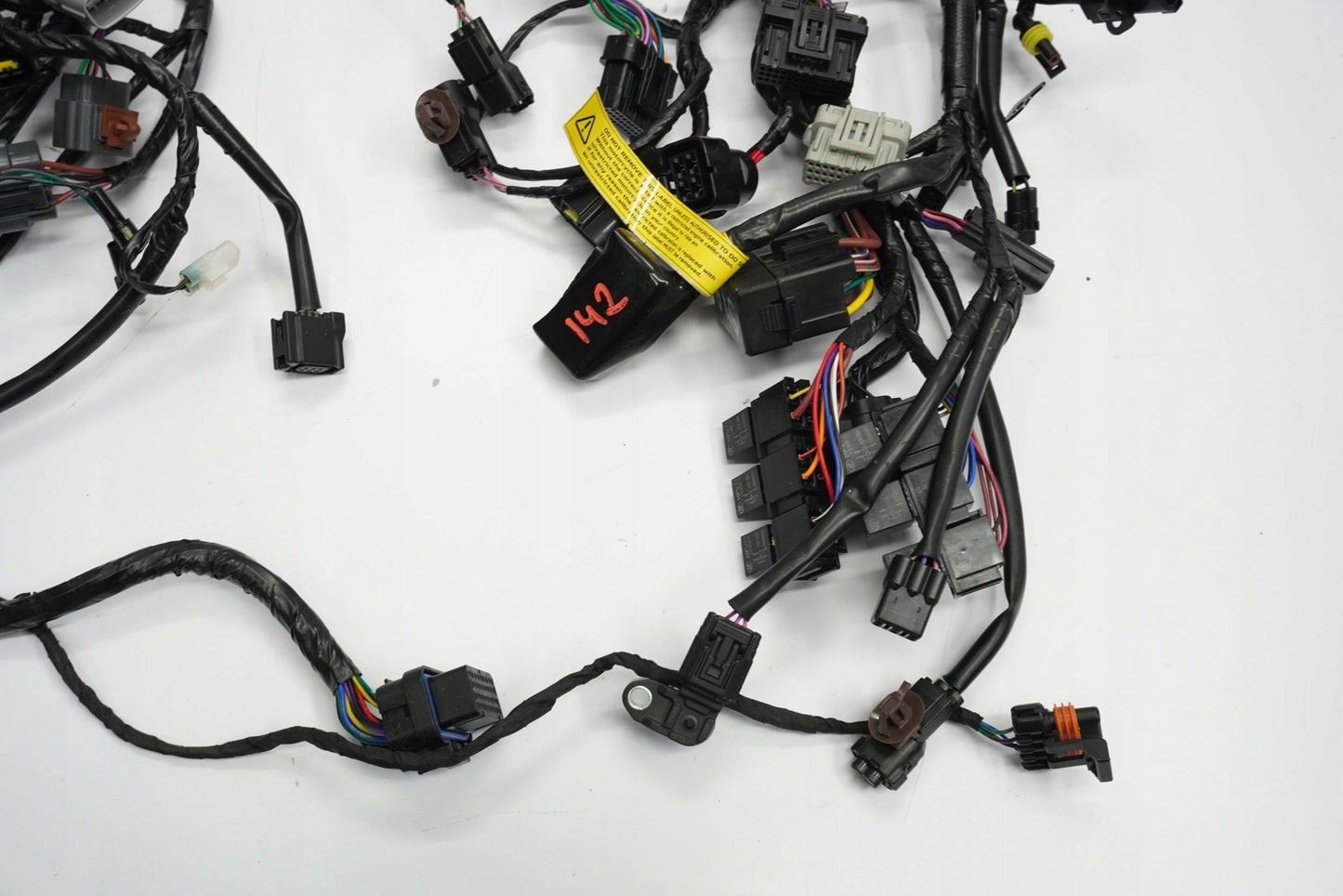 TRIUMPH TRIDENT 660 21- Kabelbaum Wiring Harness 12