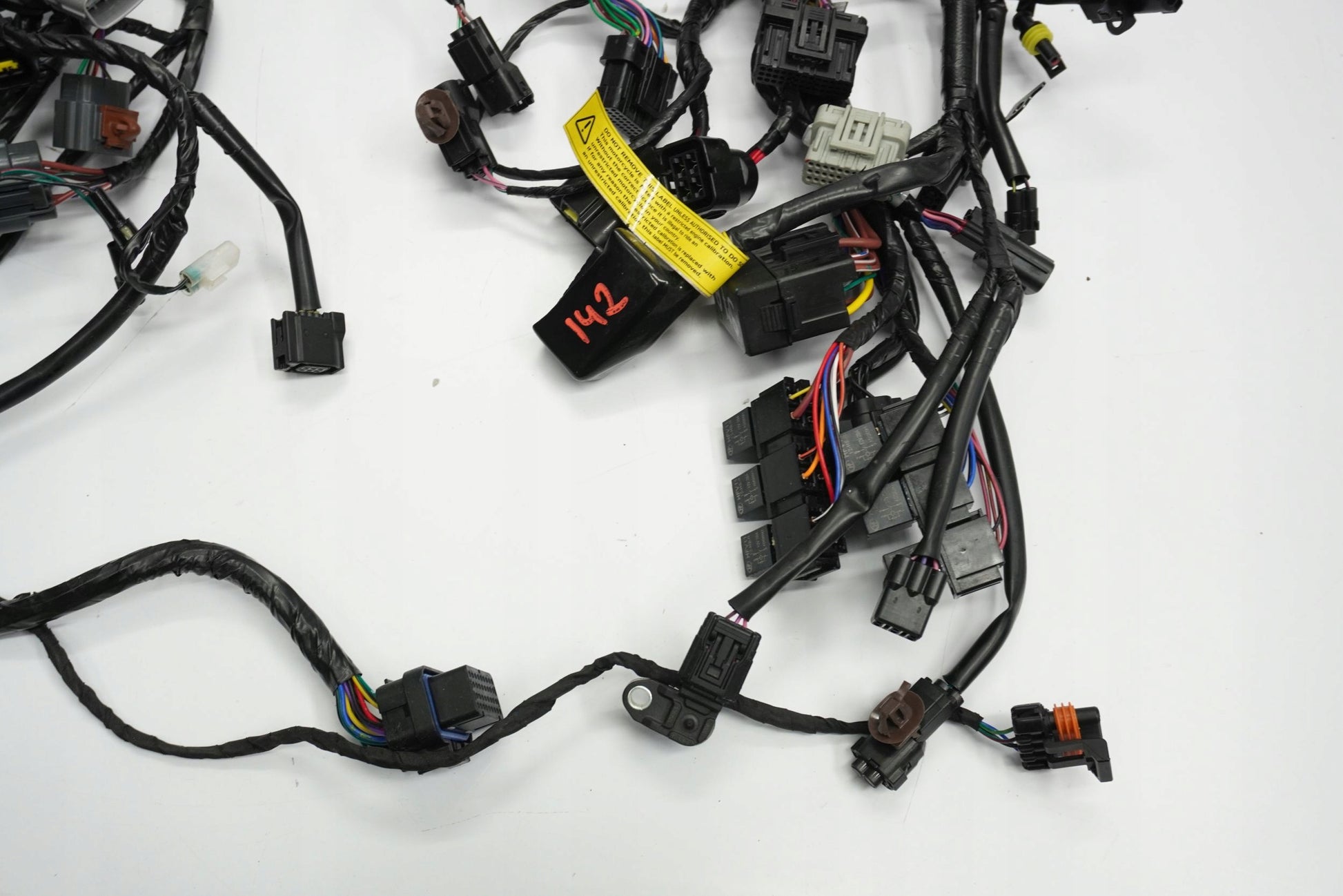 TRIUMPH TRIDENT 660 21- Kabelbaum Wiring Harness 12