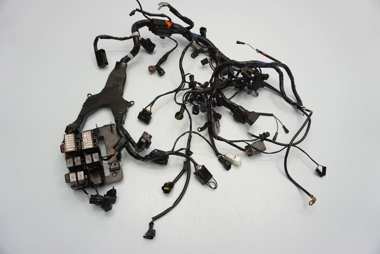 TRIUMPH TIGER SPORT 1050 16- Kabelbaum Wiring Harness 12