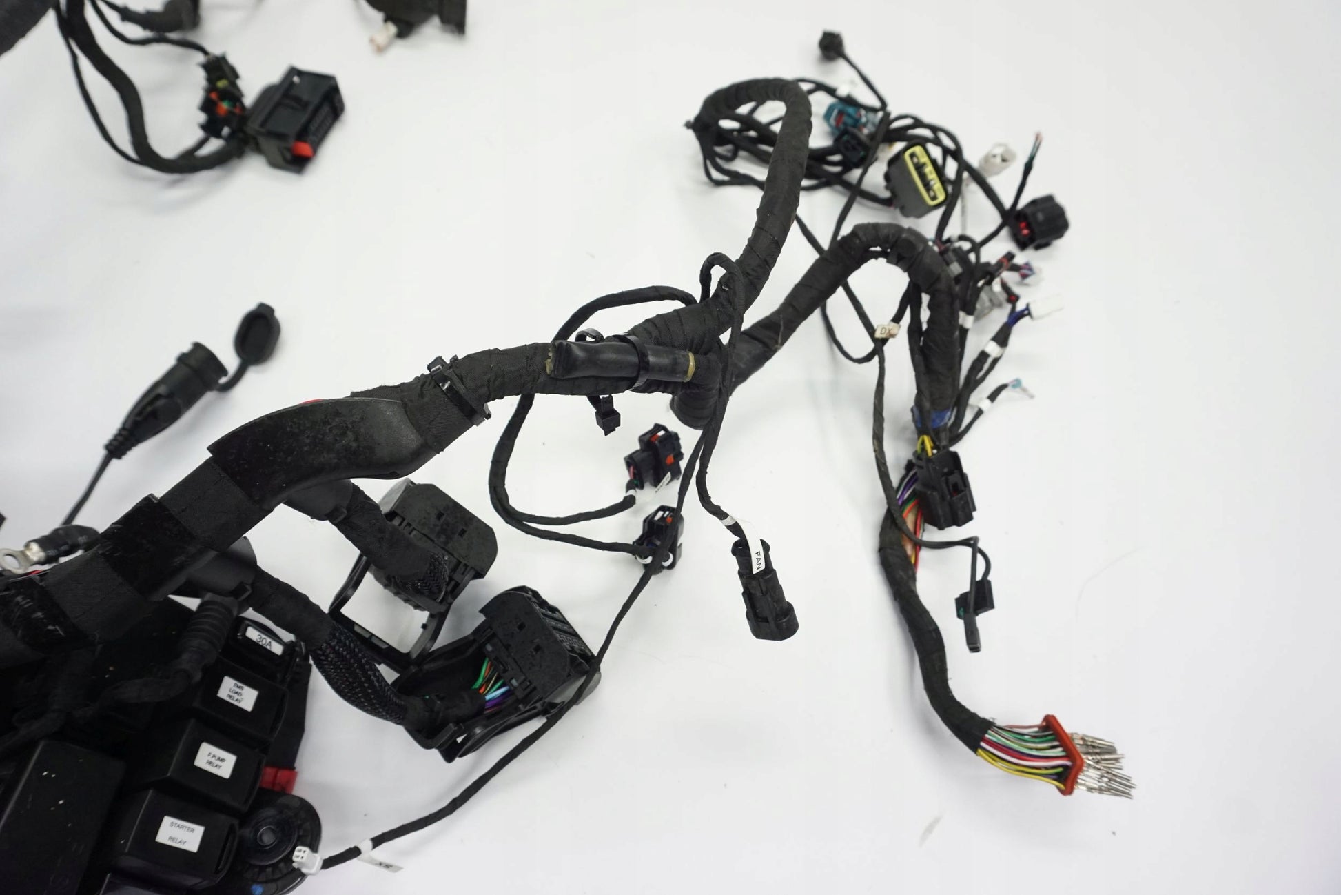 DUCATI MONSTER 937 21- Kabelbaum Wiring Harness 10