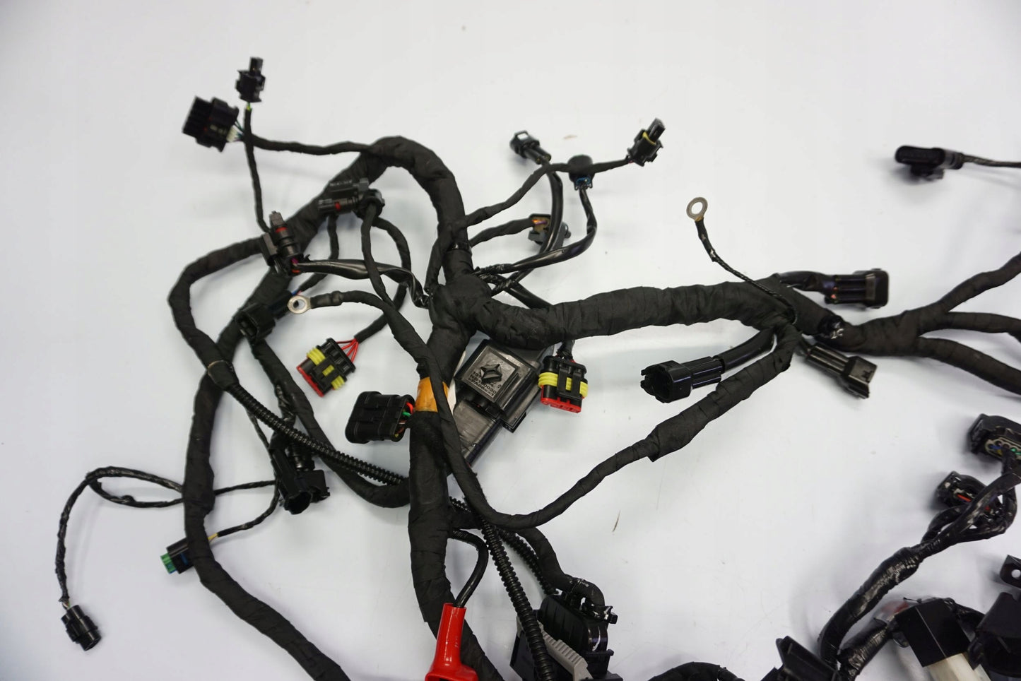 BMW G 310 GS 17- Kabelbaum Wiring Harness 2