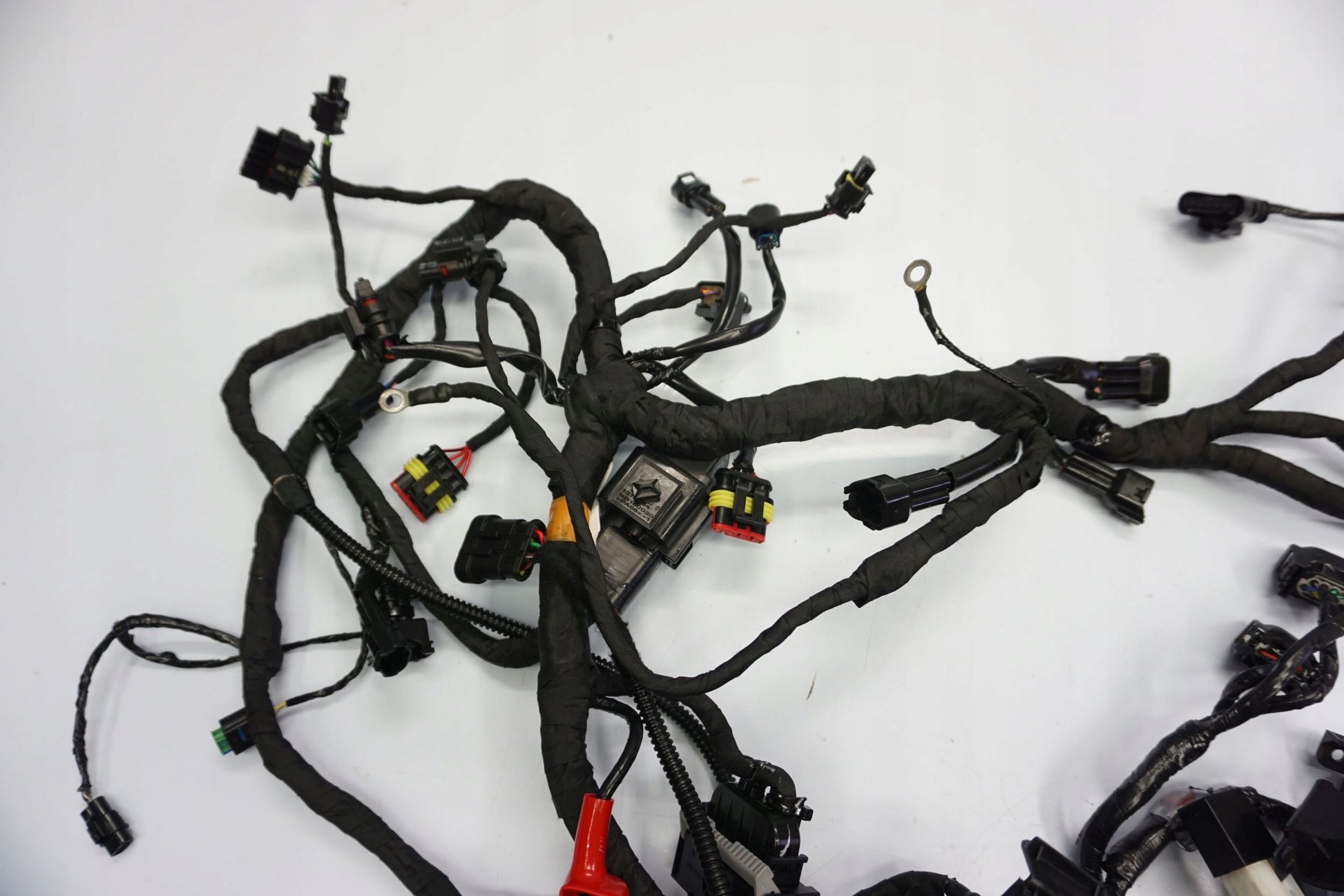 BMW G 310 GS 17- Kabelbaum Wiring Harness 2