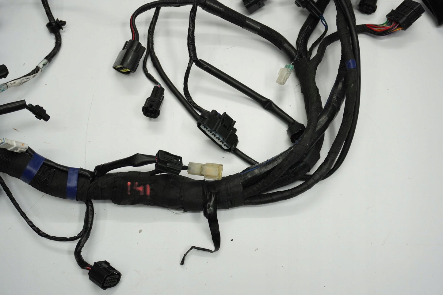 TRIUMPH TRIDENT 660 21- Kabelbaum Wiring Harness 11