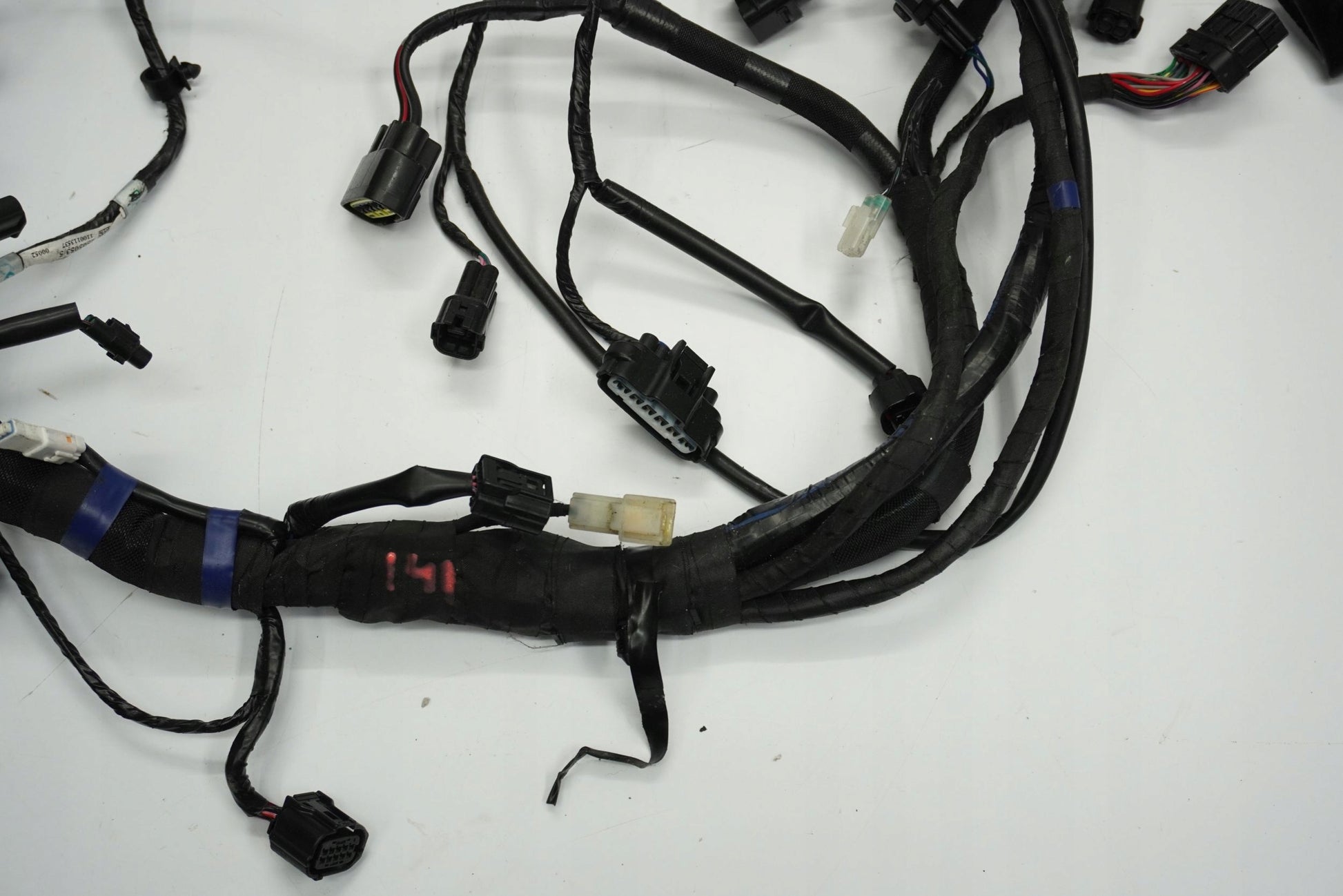 TRIUMPH TRIDENT 660 21- Kabelbaum Wiring Harness 11