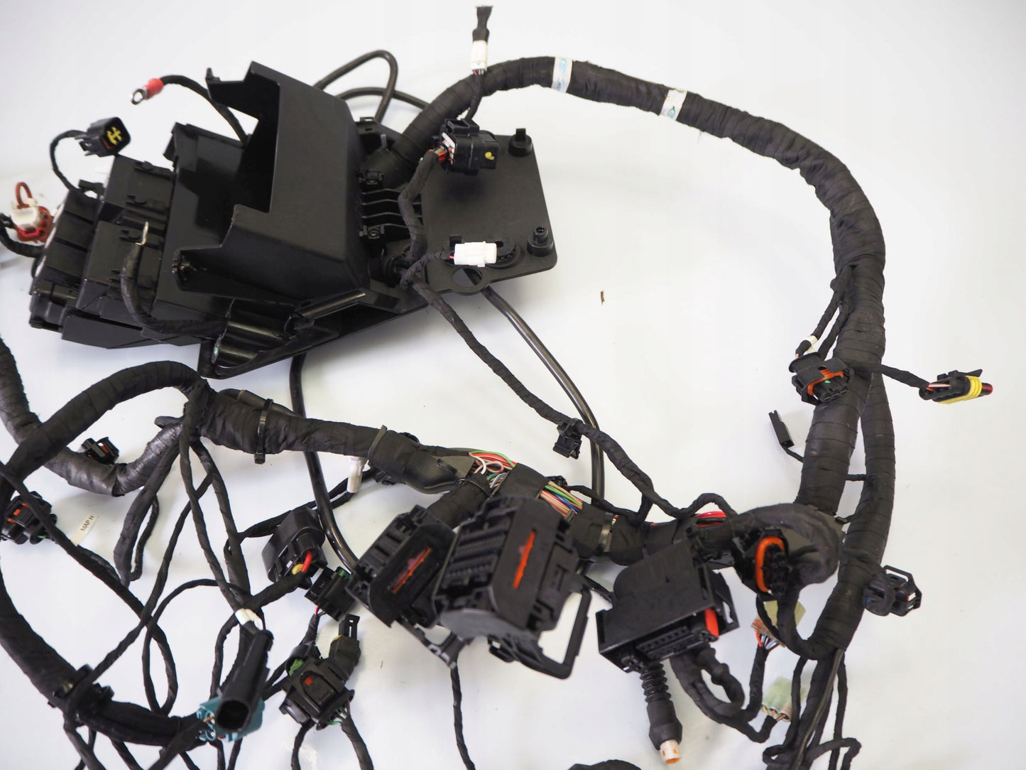 DUCATI MONSTER 937 21- Kabelbaum Wiring Harness 7