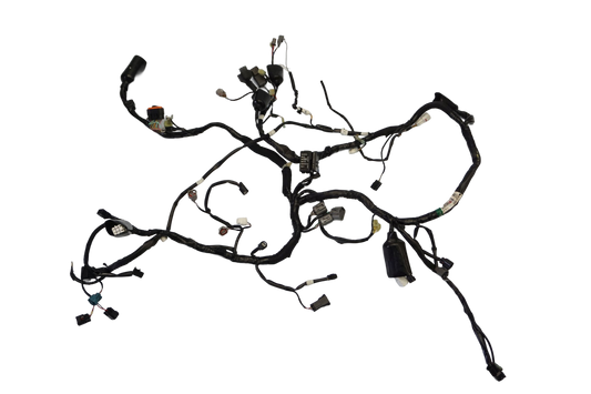 KAWASAKI VERSYS 650 15-21 Kabelbaum Wiring Harness 1