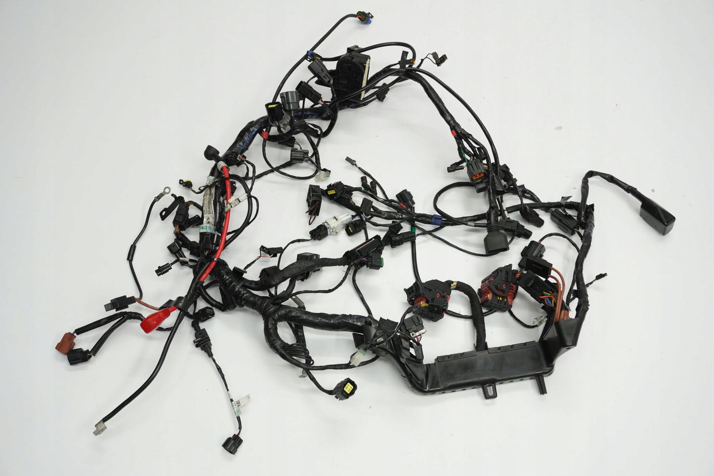 TRIUMPH TIGER 1200 XRT 16-17 Kabelbaum Wiring Harness 6