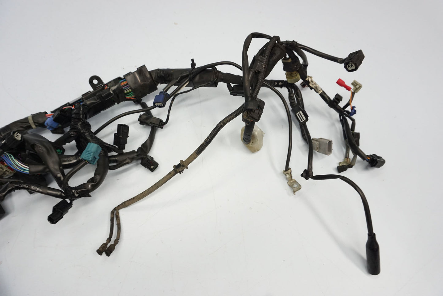 HONDA CBR 650 R 19-23 Kabelbaum Wiring Harness 6