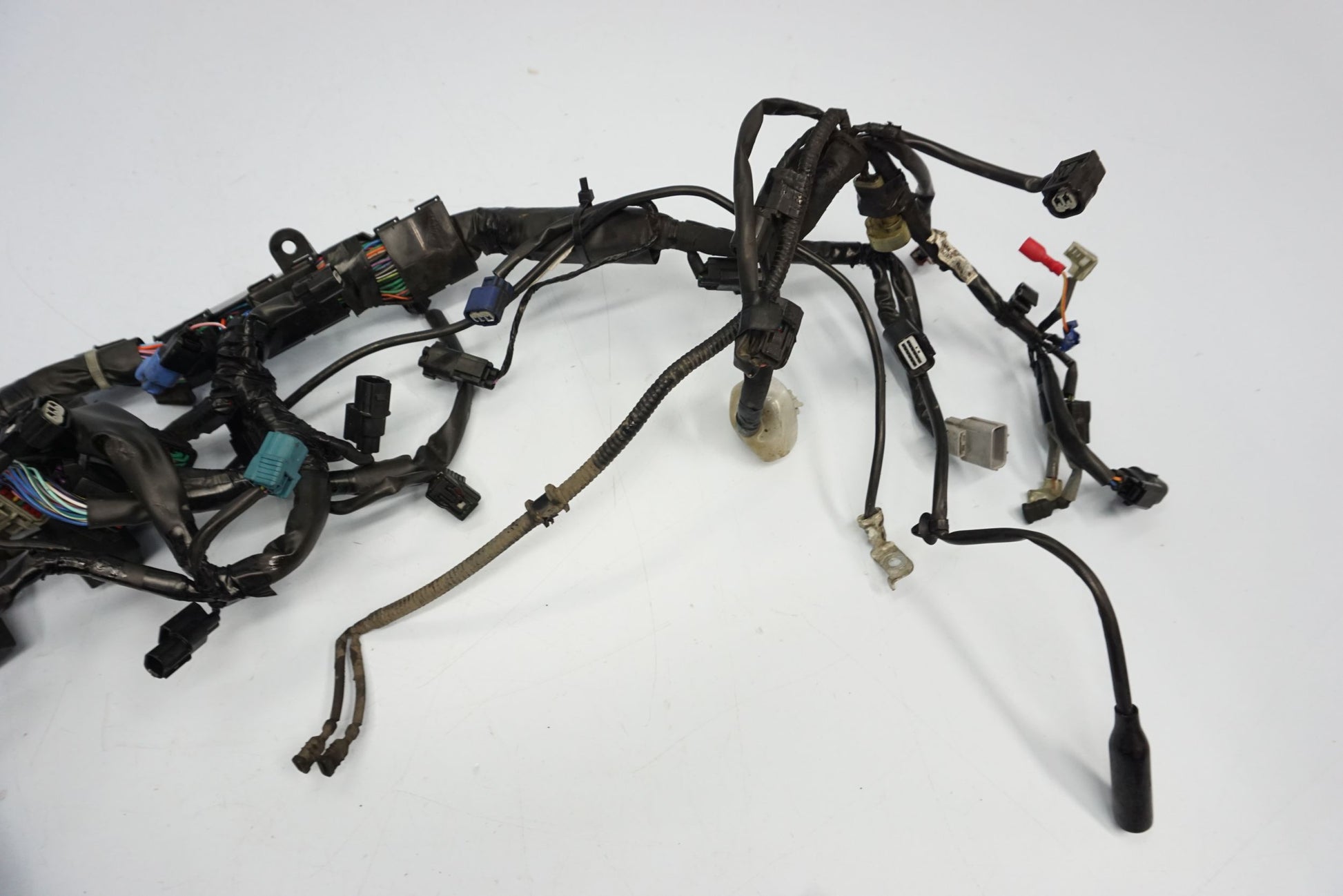 HONDA CBR 650 R 19-23 Kabelbaum Wiring Harness 6