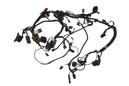 BMW G 310 R 16- Kabelbaum Wiring Harness 1