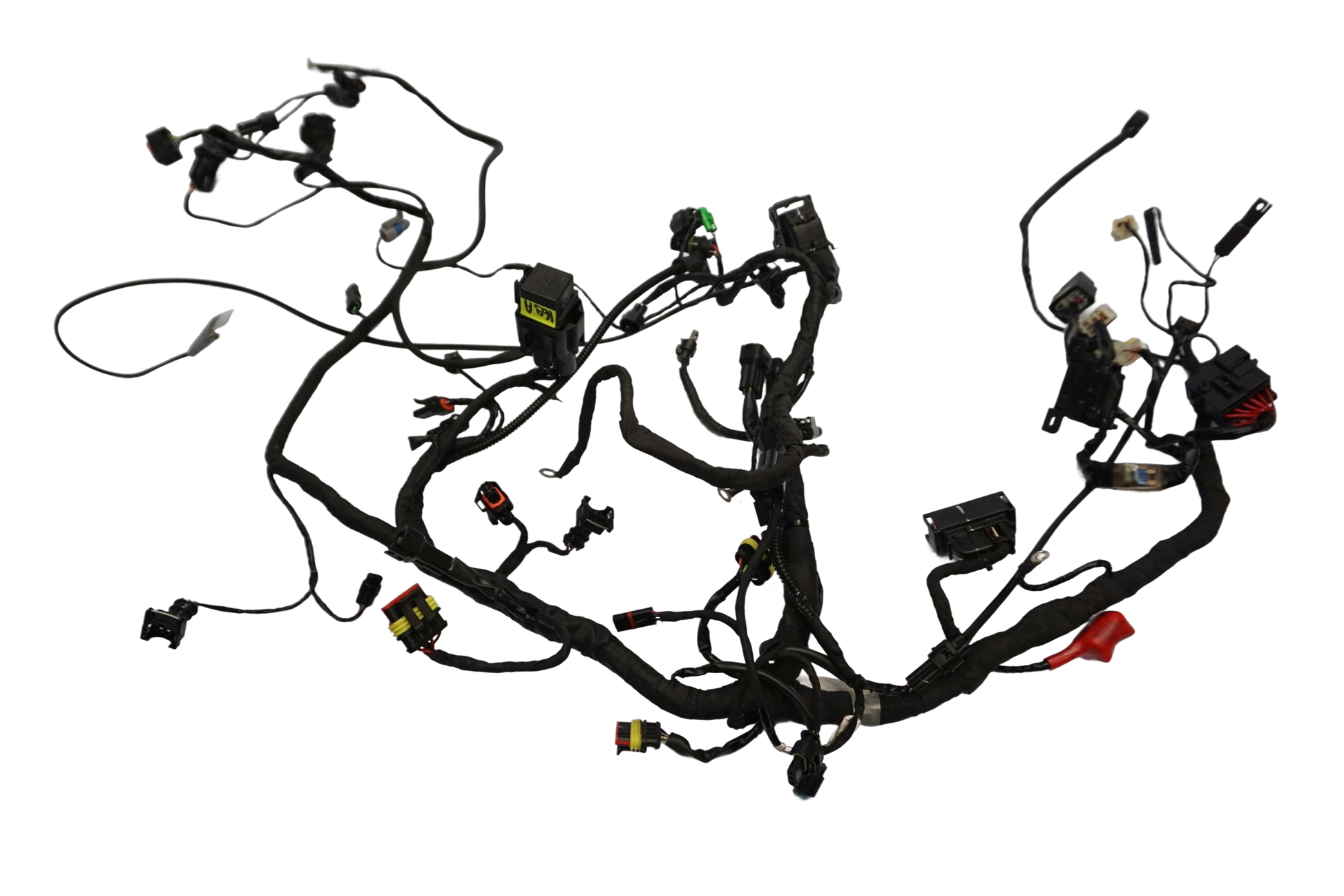 BMW G 310 GS 17- Kabelbaum Wiring Harness 1