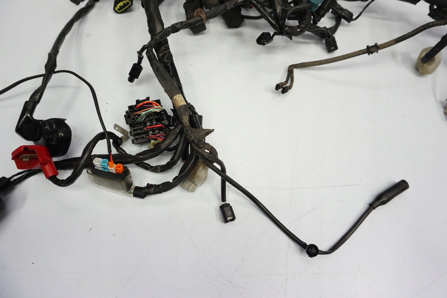 HONDA CBR 650 R 19-23 Kabelbaum Wiring Harness 12