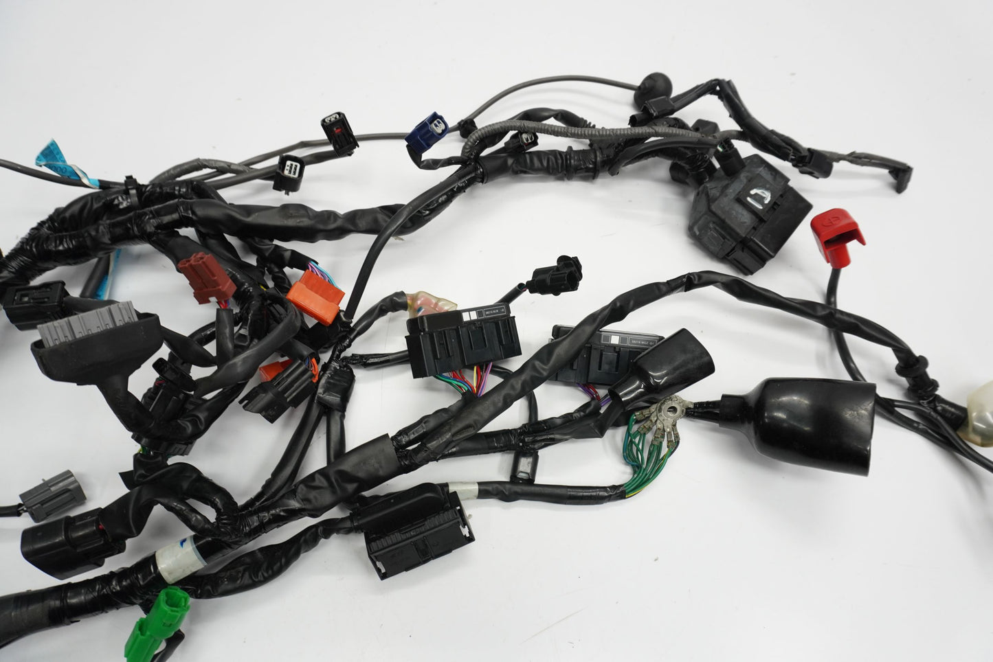 TRIUMPH STREET TRIPLE 765 17-19 Kabelbaum Wiring Harness 8