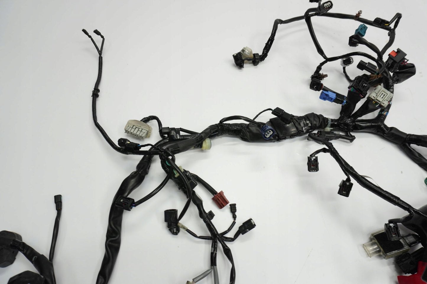 HONDA CB 650 R 19-23 Kabelbaum Wiring Harness 6