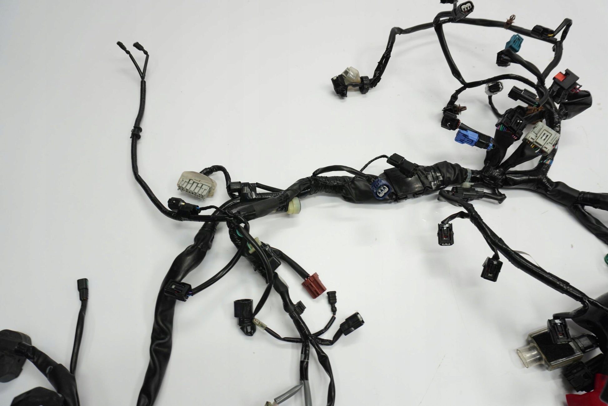 HONDA CB 650 R 19-23 Kabelbaum Wiring Harness 6