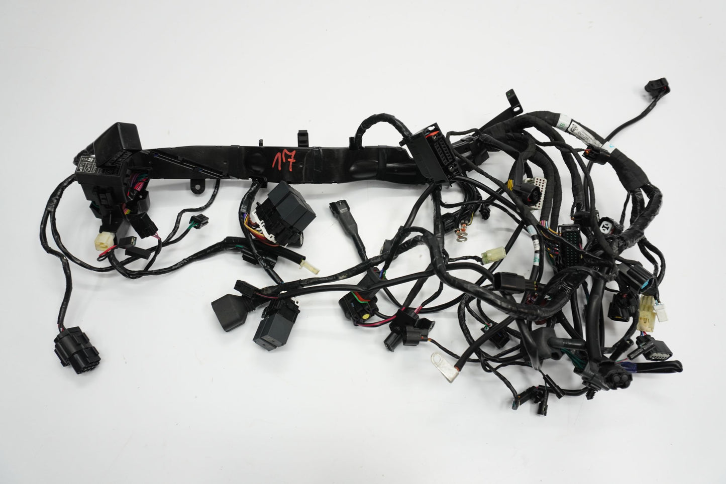 TRIUMPH STREET TRIPLE 660 S 17- Kabelbaum Wiring Harness 10