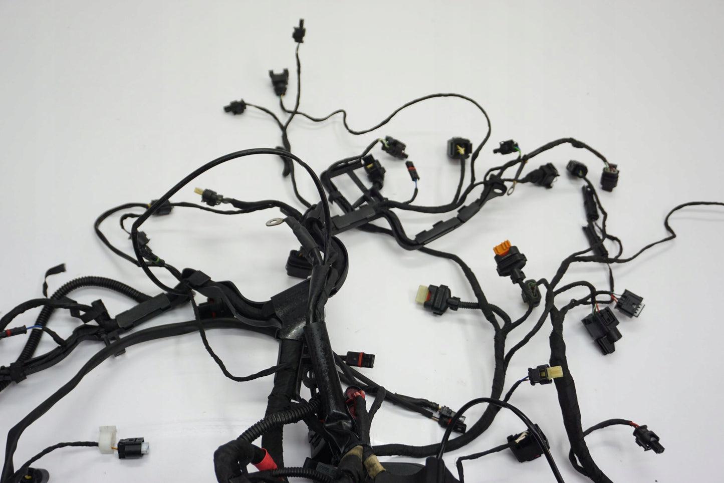 BMW R 1250 R 18- Kabelbaum Wiring Harness 9