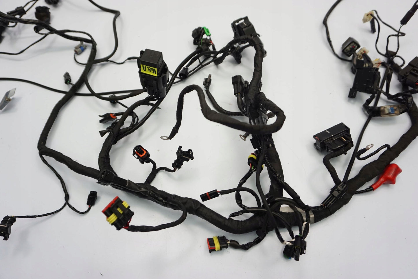 BMW G 310 GS 17- Kabelbaum Wiring Harness 4