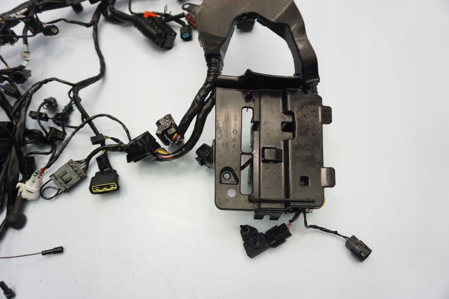 TRIUMPH TIGER SPORT 1050 16- Kabelbaum Wiring Harness 5