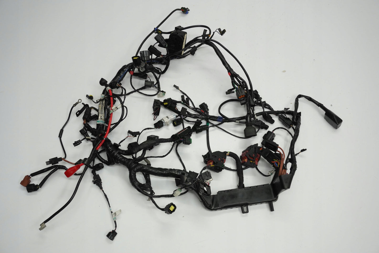 TRIUMPH TIGER 1200 XRT 16-17 Kabelbaum Wiring Harness 7