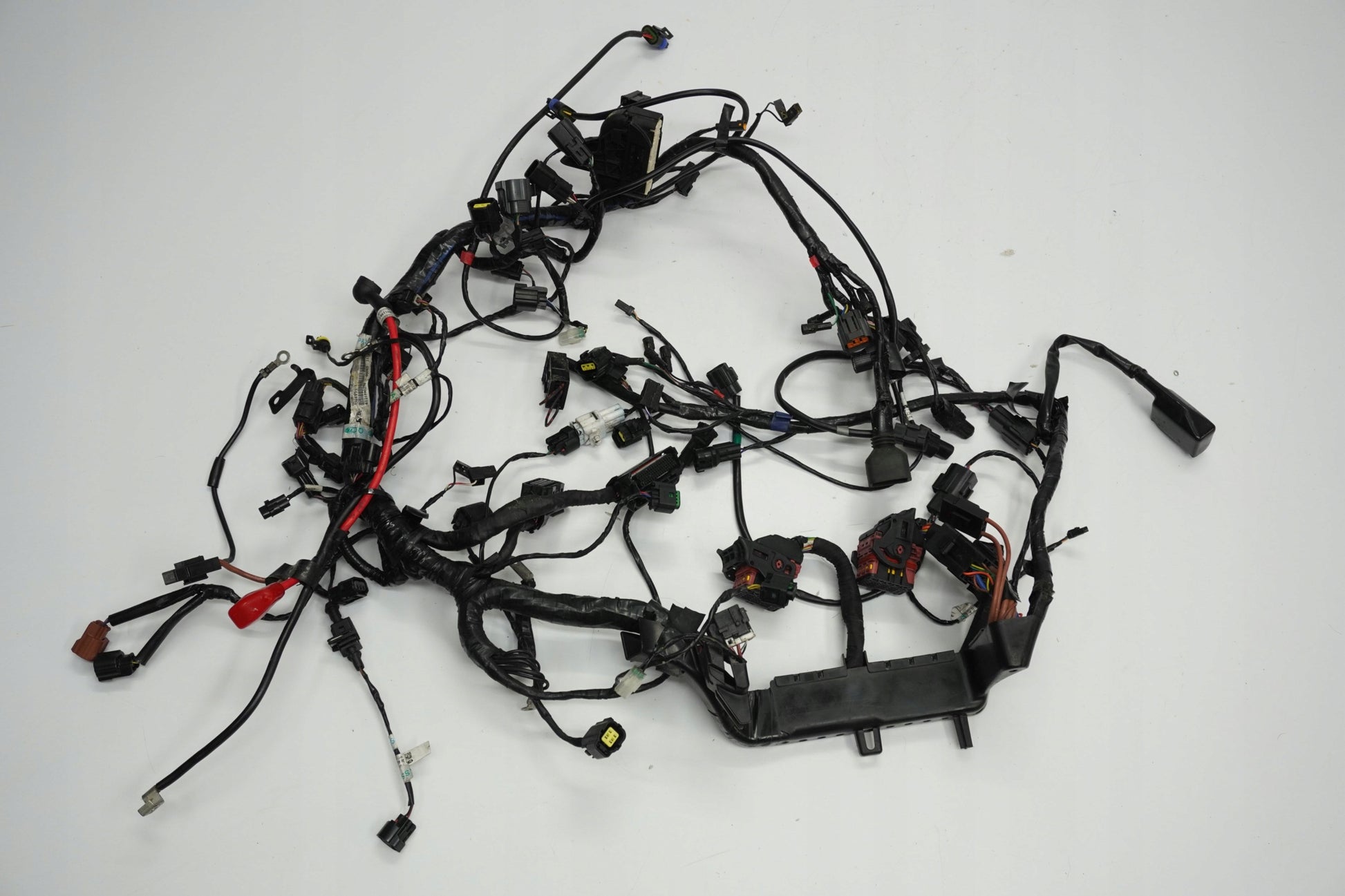 TRIUMPH TIGER 1200 XRT 16-17 Kabelbaum Wiring Harness 7
