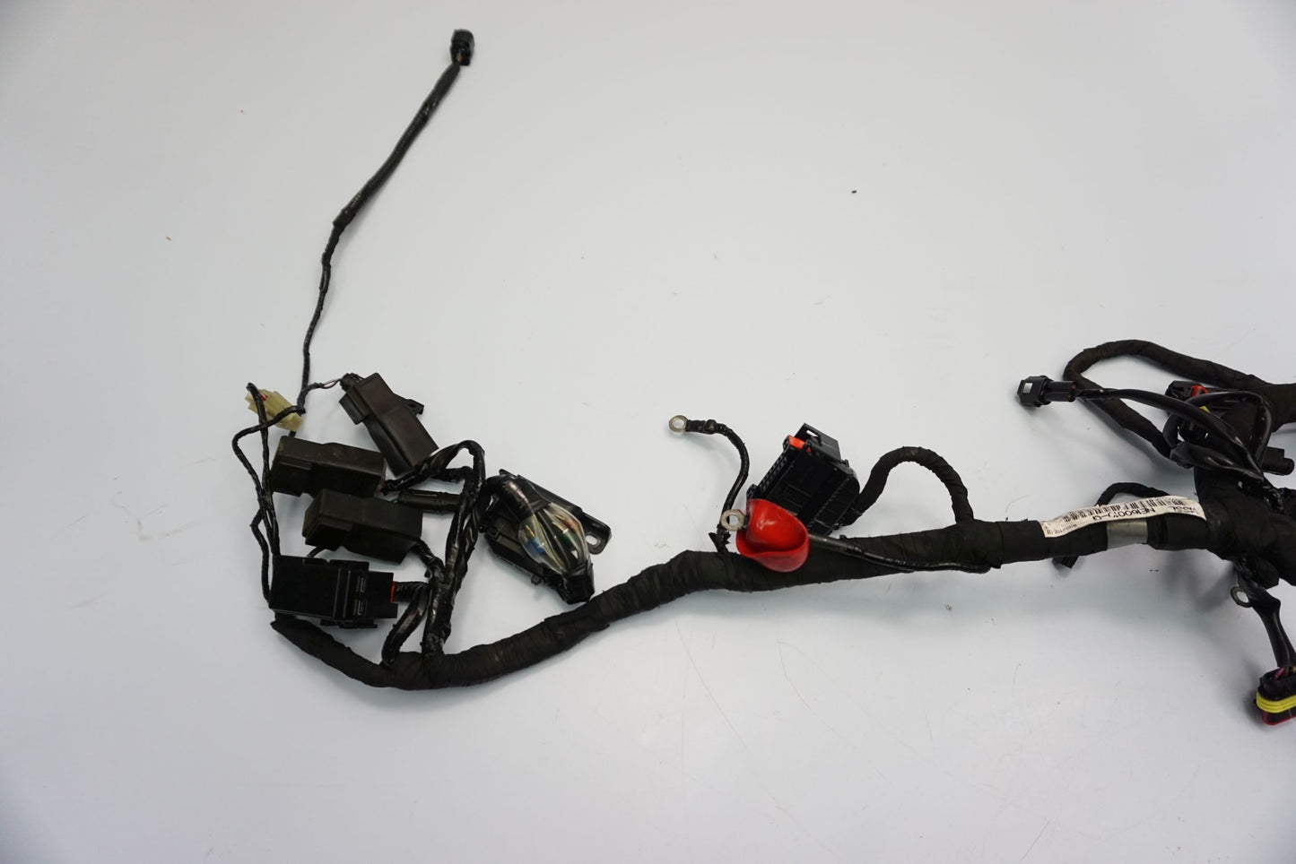 BMW G 310 GS 17- Kabelbaum Wiring Harness 4
