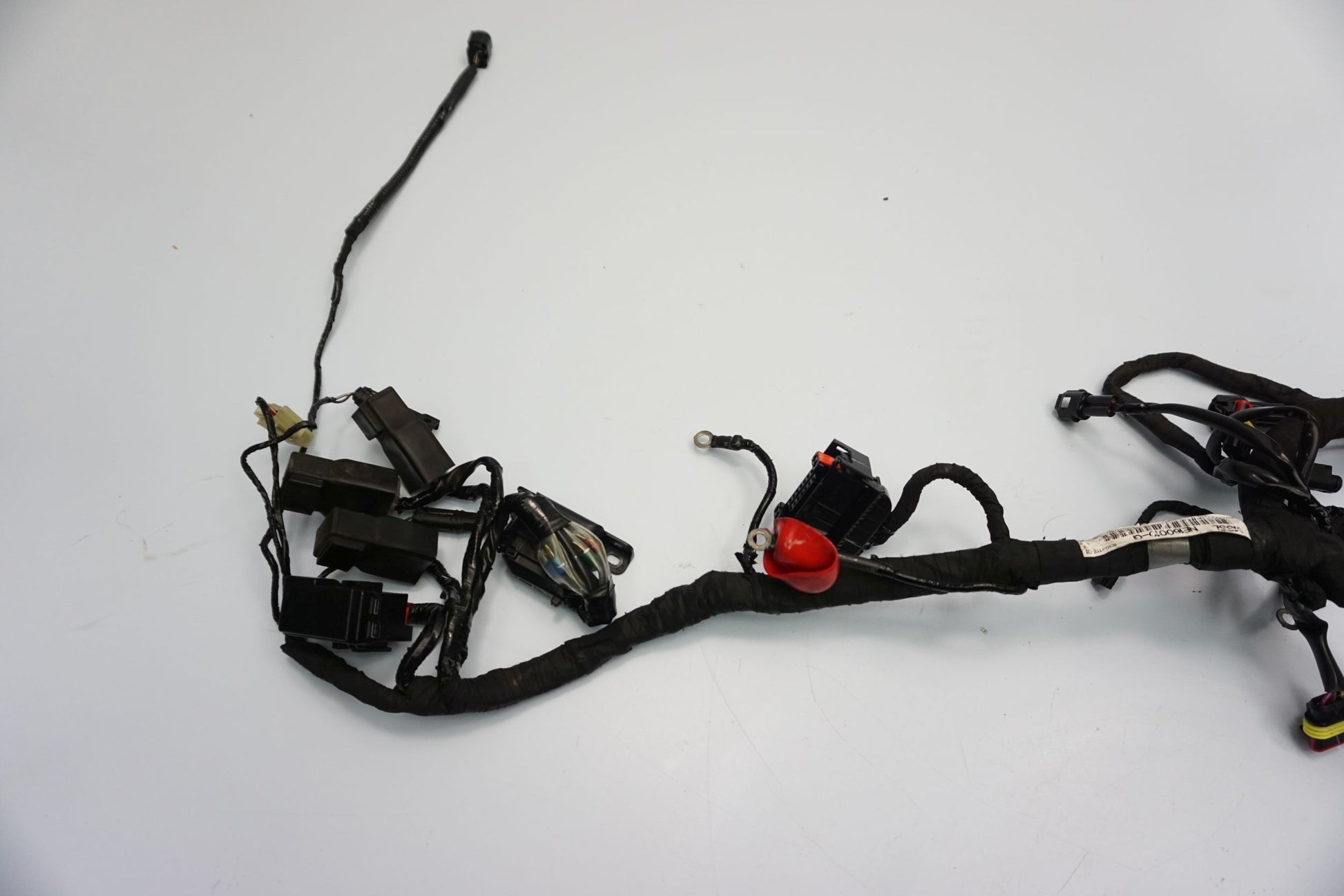 BMW G 310 GS 17- Kabelbaum Wiring Harness 4