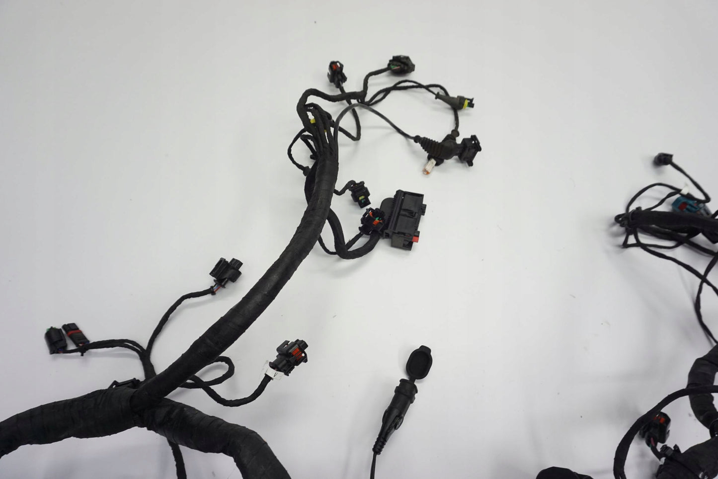 DUCATI MONSTER 937 21- Kabelbaum Wiring Harness 6