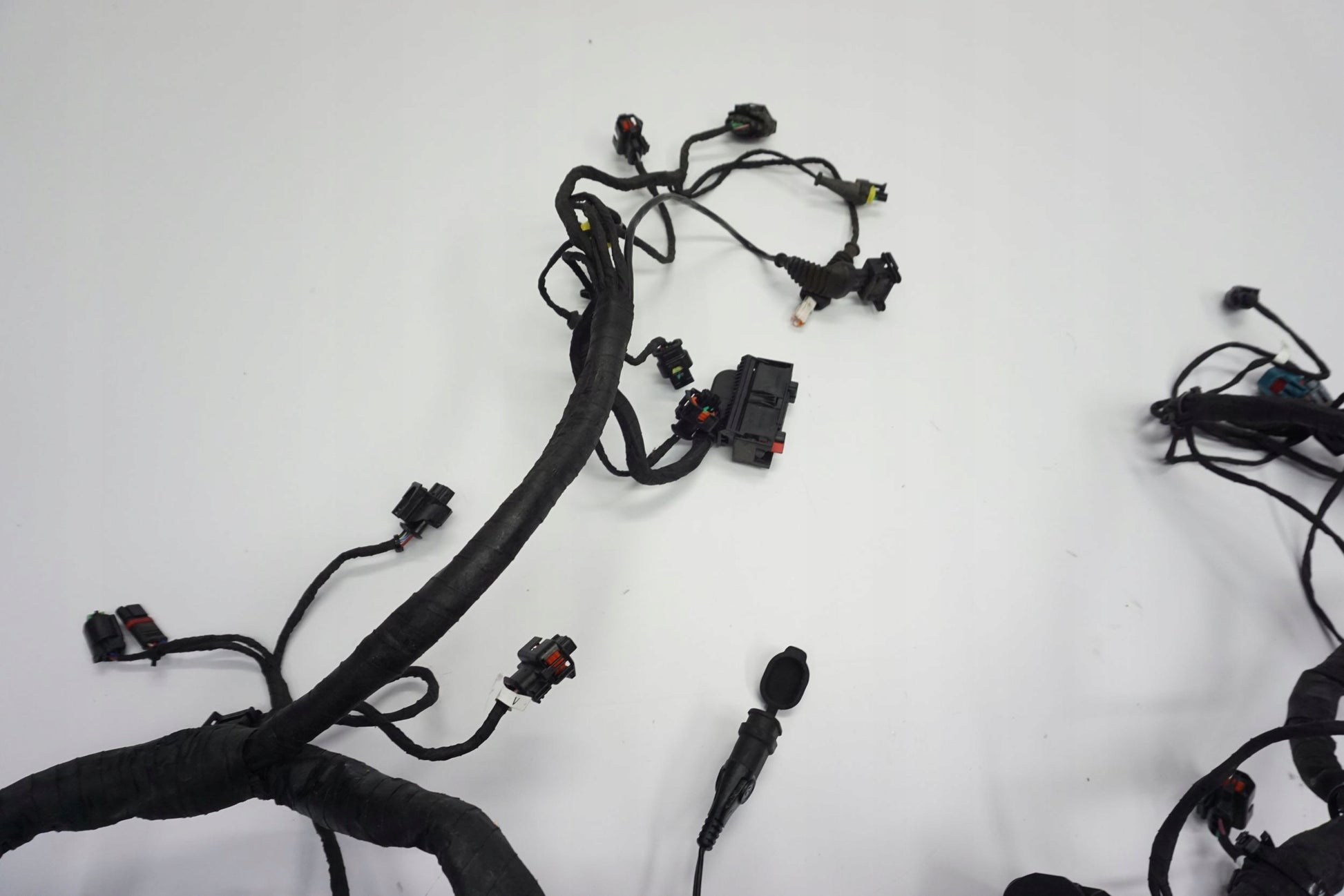 DUCATI MONSTER 937 21- Kabelbaum Wiring Harness 6