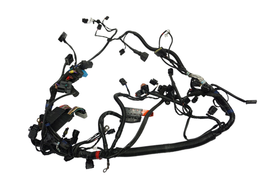 TRIUMPH TIGER 800 XC 10-14 Kabelbaum Wiring Harness 1