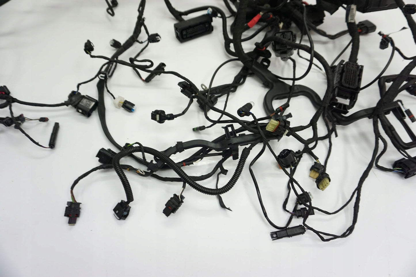 BMW R 1250 R 18- Kabelbaum Wiring Harness 7