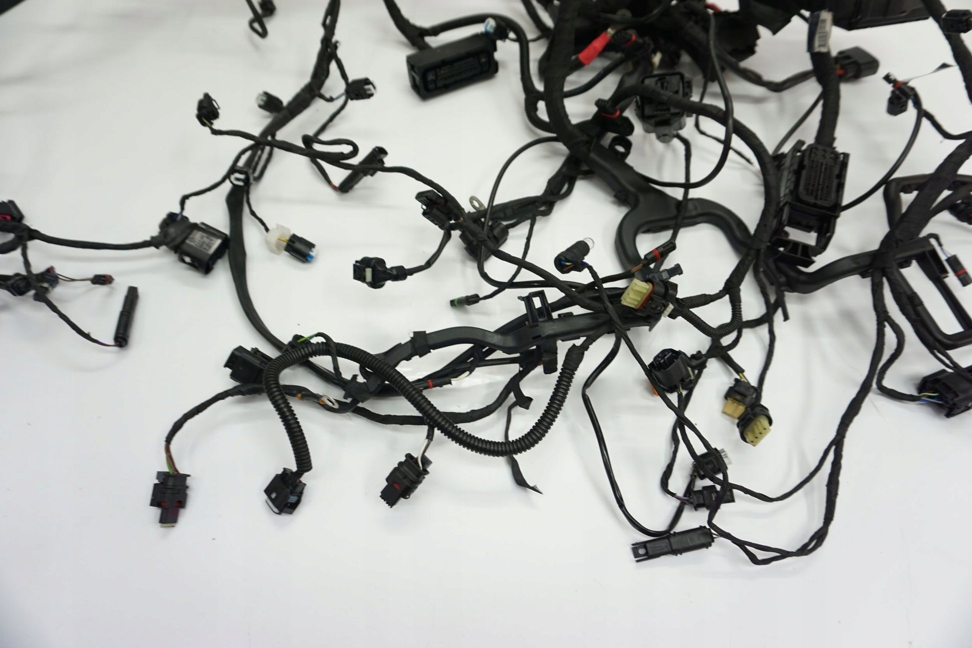 BMW R 1250 R 18- Kabelbaum Wiring Harness 7