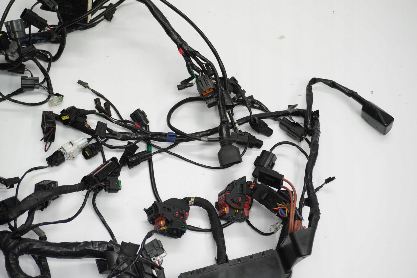 TRIUMPH TIGER 1200 XRT 16-17 Kabelbaum Wiring Harness 12