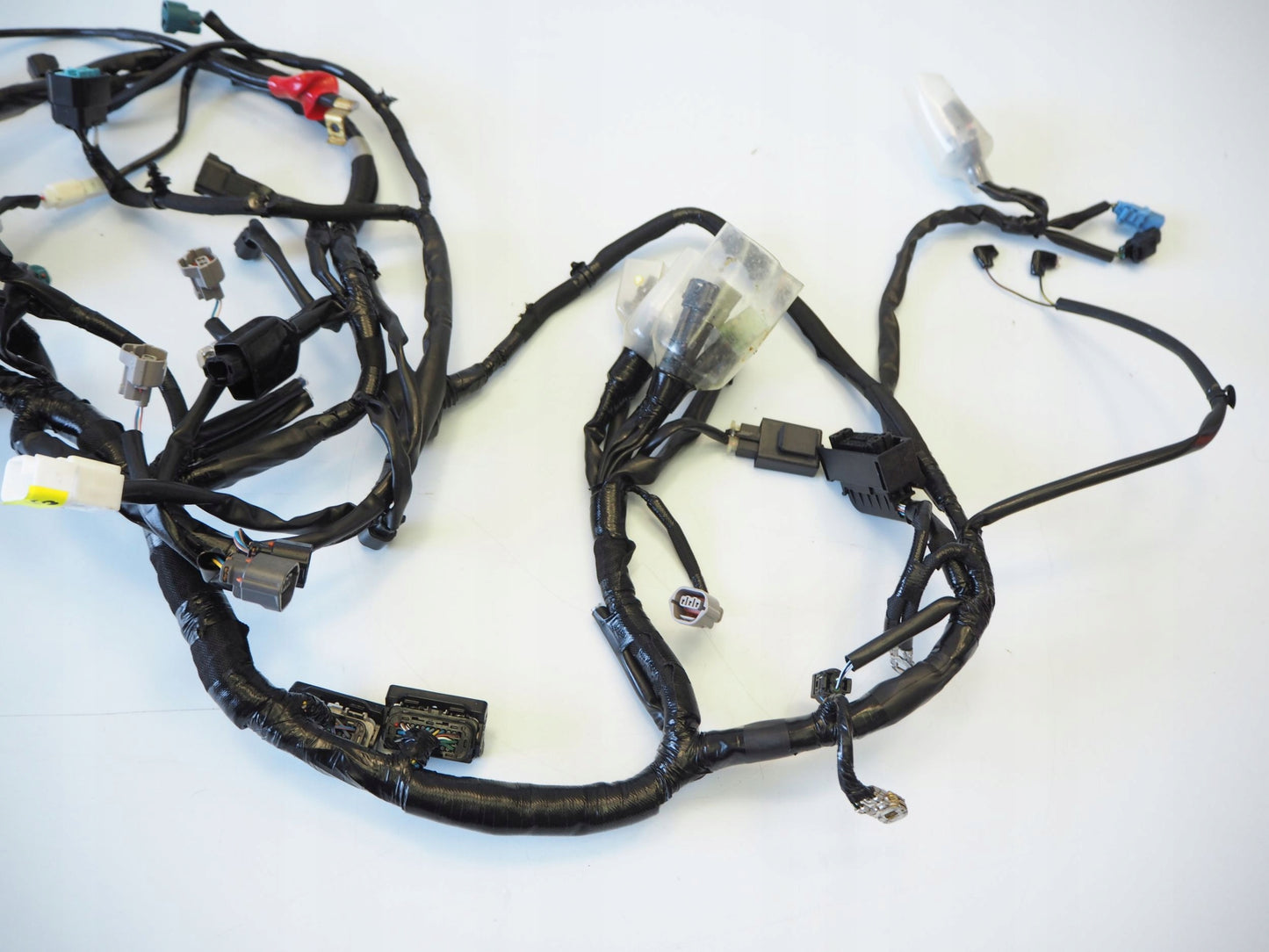 KAWASAKI Z 650 RS 22- Kabelbaum Wiring Harness 10