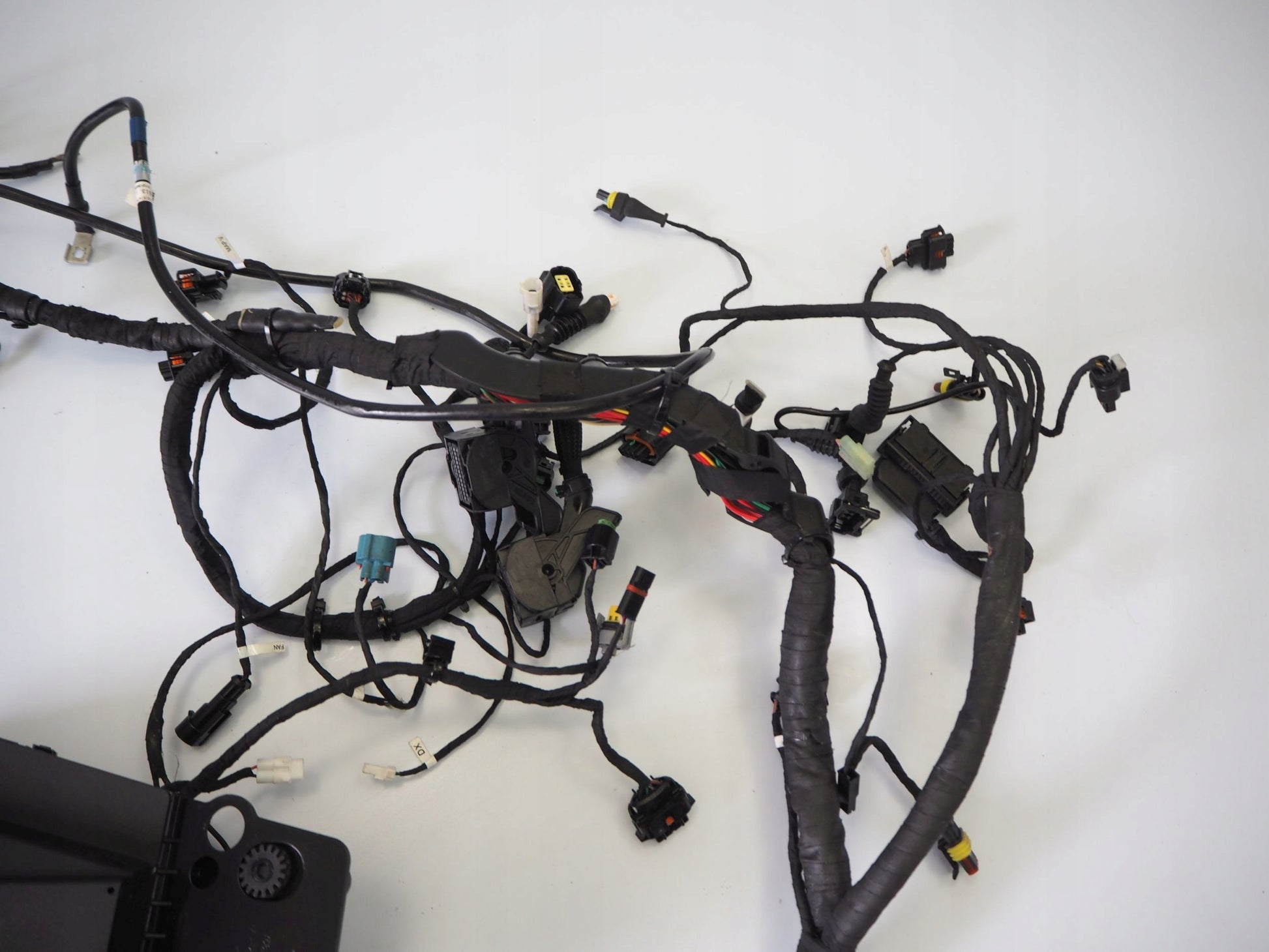 DUCATI MONSTER 937 21- Kabelbaum Wiring Harness 3