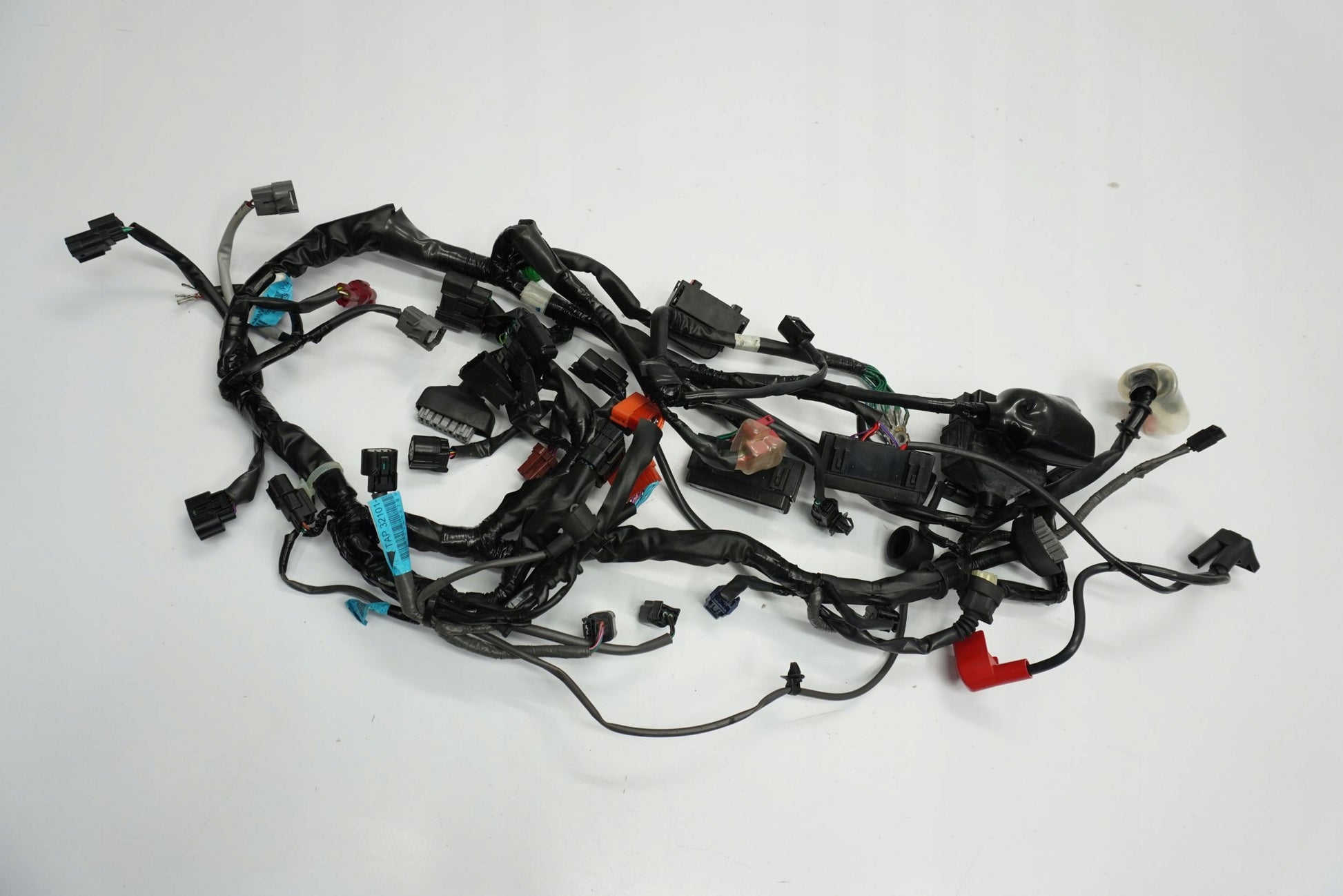 TRIUMPH STREET TRIPLE 765 17-19 Kabelbaum Wiring Harness 3