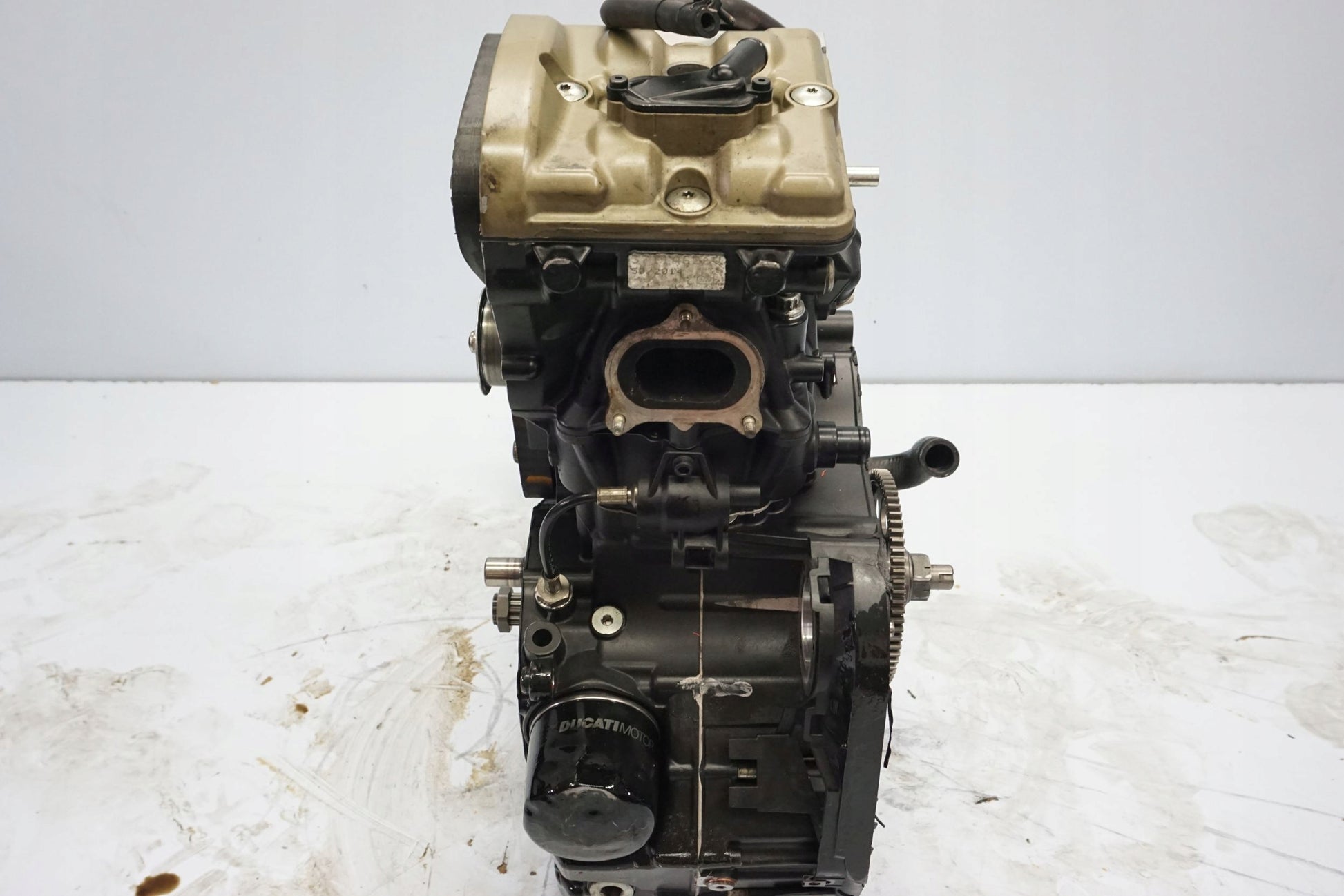 DUCATI MONSTER 821 18-20 Motor Motorblock Engine ZDM821W4O 3