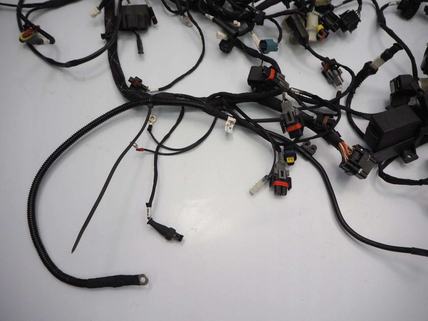 DUCATI MULTISTRADA 950 17-18 Kabelbaum Wiring Harness 15
