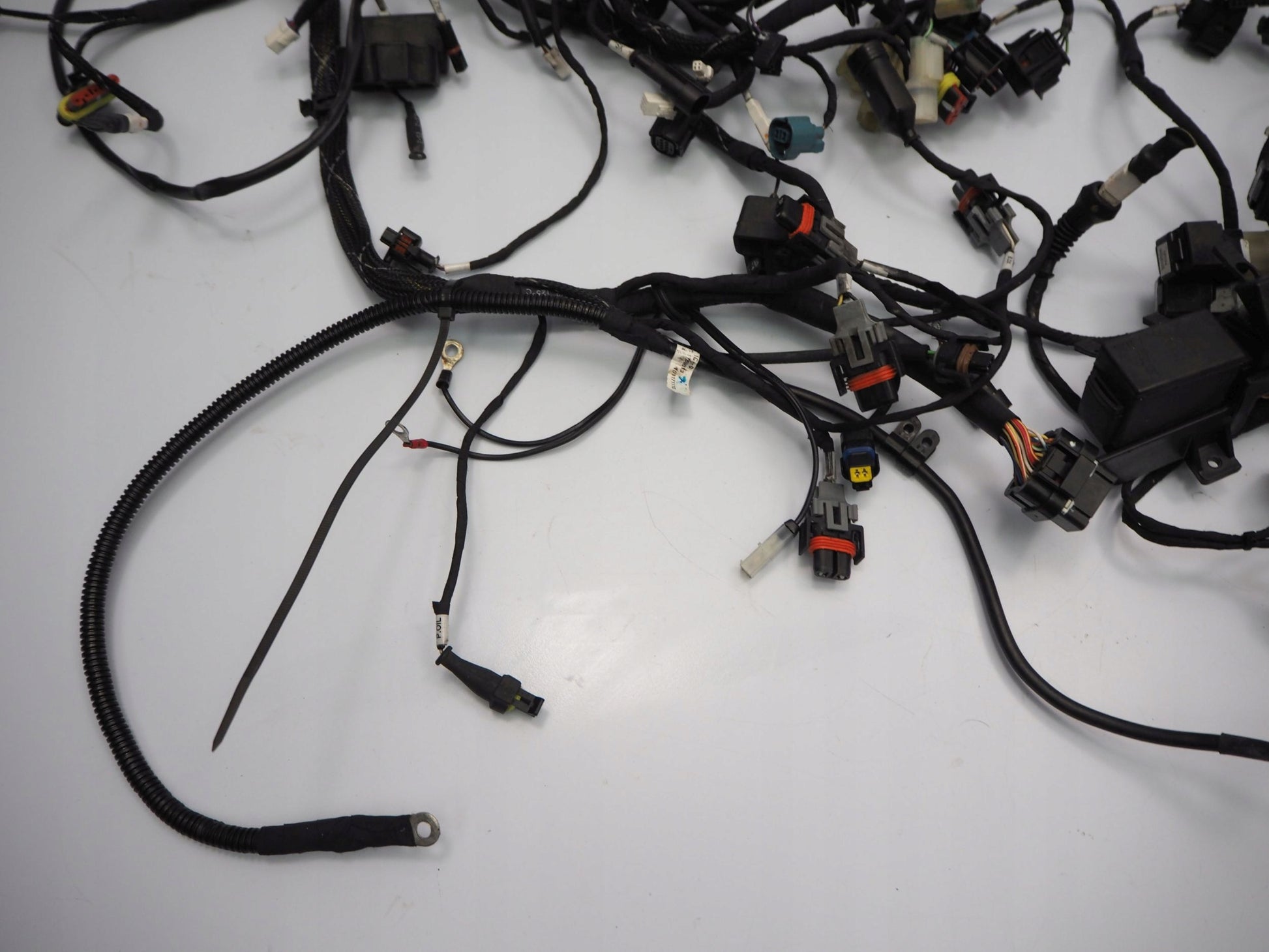 DUCATI MULTISTRADA 950 17-18 Kabelbaum Wiring Harness 15