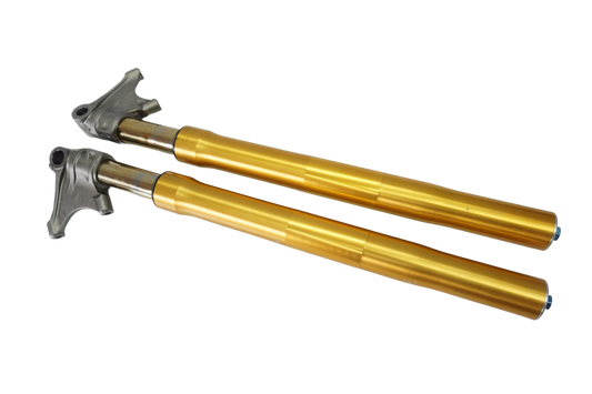 TRIUMPH DAYTONA 675 06-12 Öhlins Gabel Gabelholme Fork 1