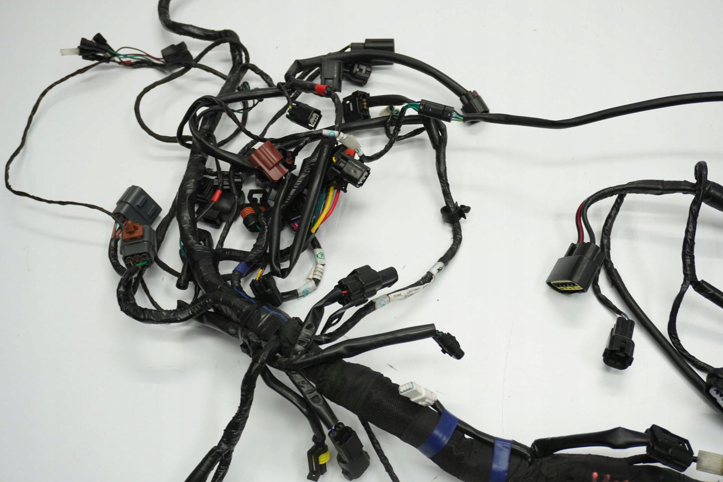 TRIUMPH TRIDENT 660 21- Kabelbaum Wiring Harness 14