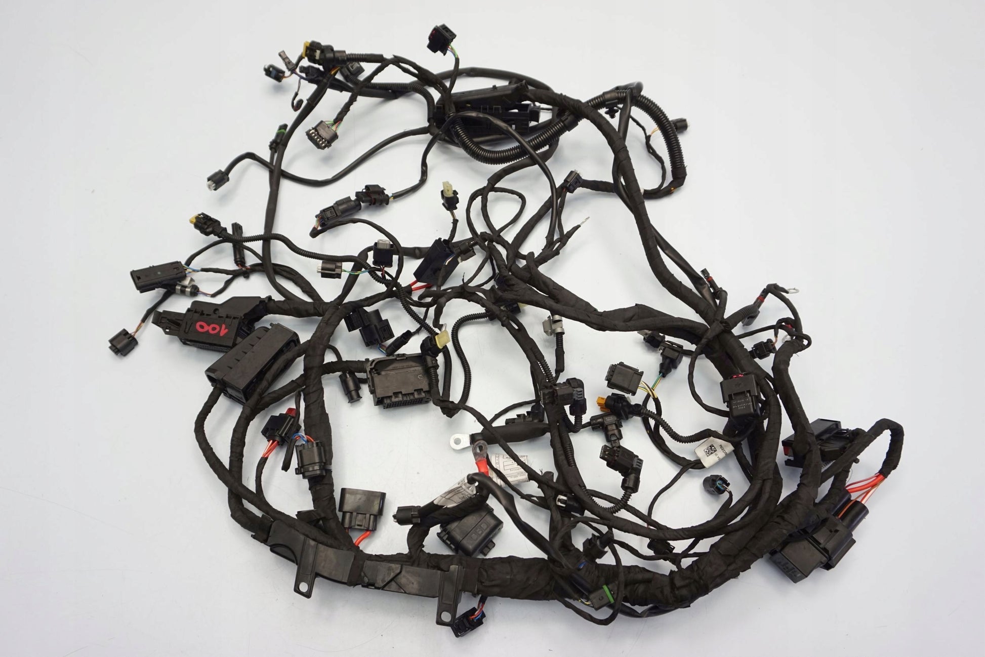 BMW F 900 R 20- Kabelbaum Wiring Harness 12