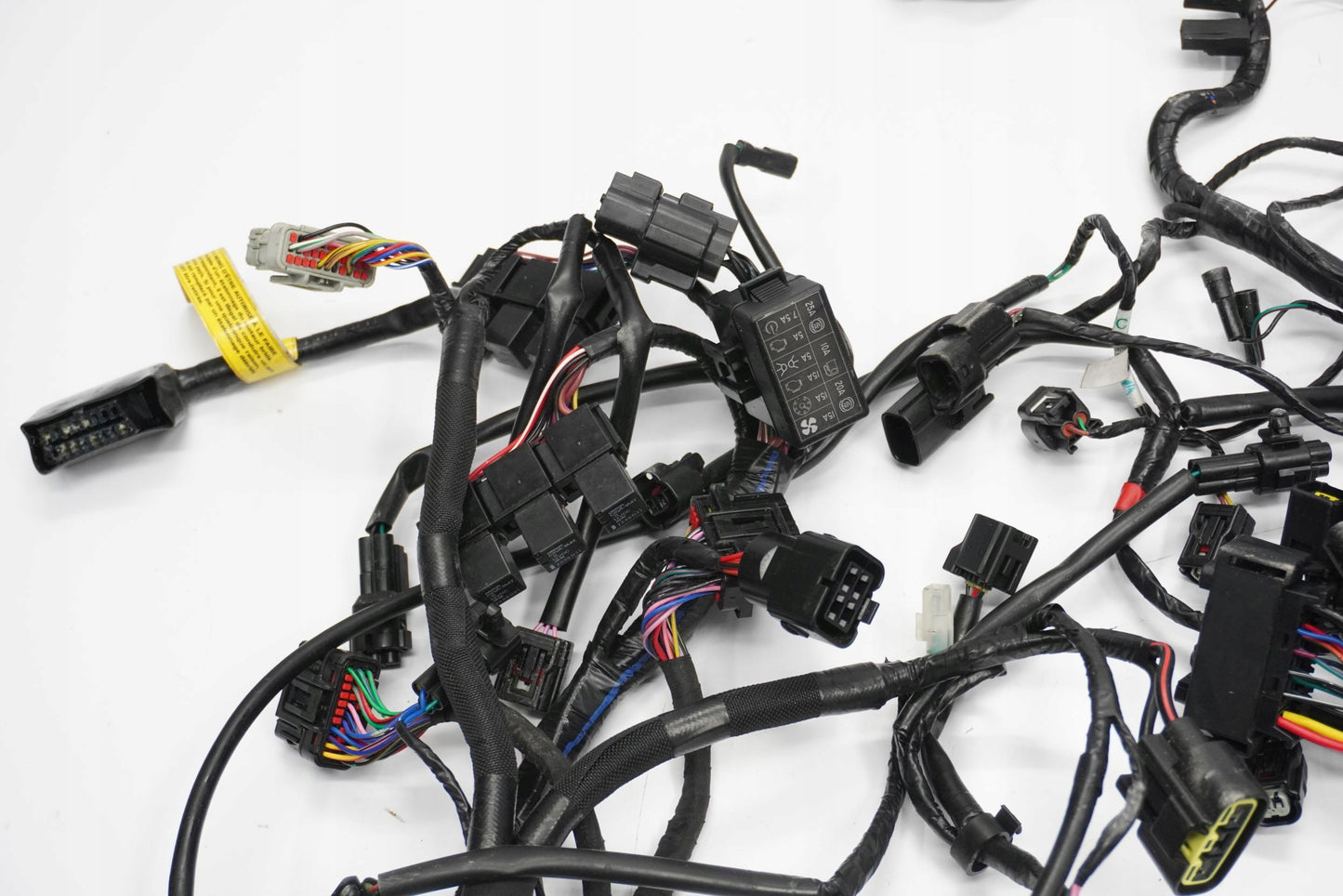 TRIUMPH TRIDENT 660 21- Kabelbaum Wiring Harness 8