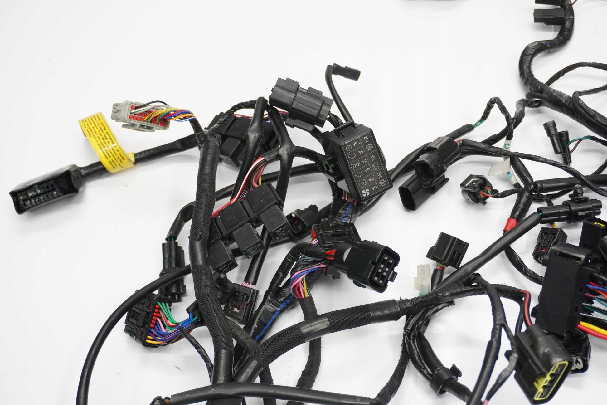 TRIUMPH TRIDENT 660 21- Kabelbaum Wiring Harness 8