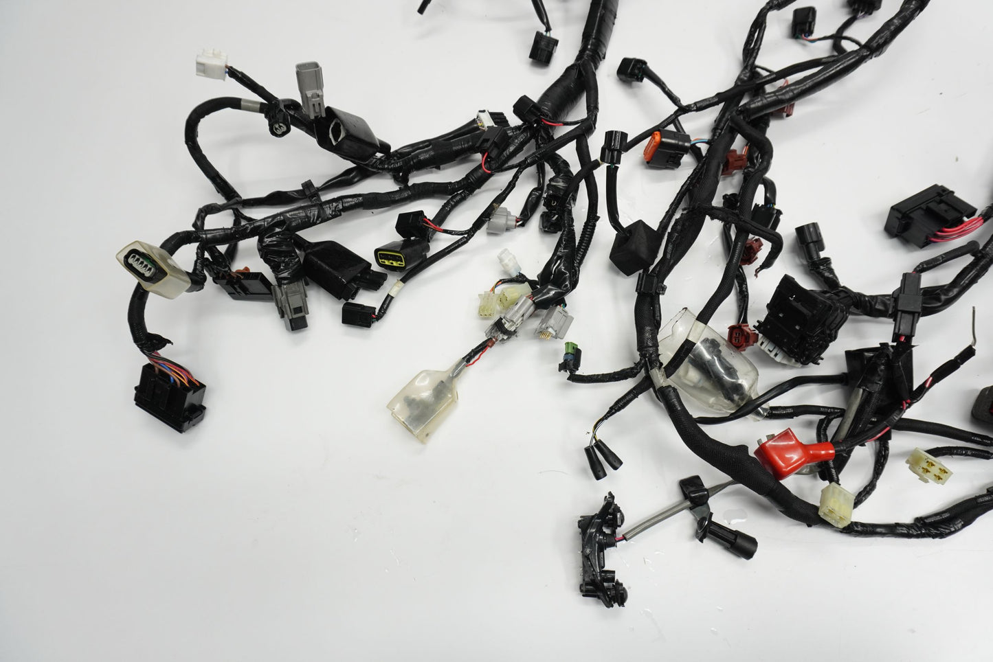 KAWASAKI ZX-10R 1000 23- Kabelbaum Wiring Harness 2